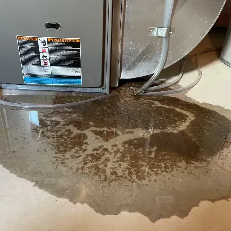 Appliance Leak Cleanup in Lone Pine, CA